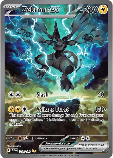 Zekrom ex card skin for debit and credit cards